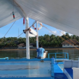 The Bicol Dive Boat